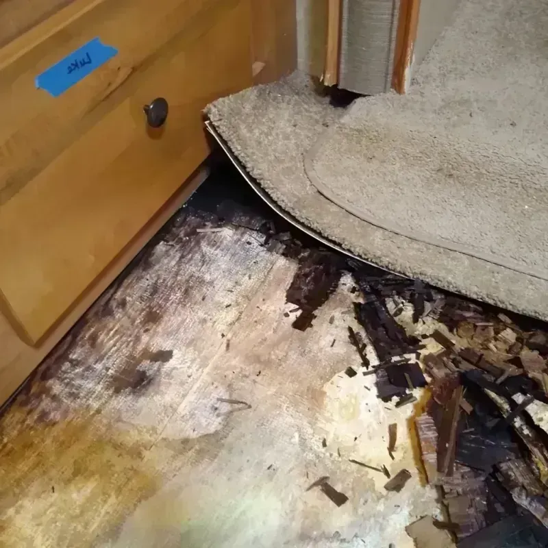 Best Wood Floor Water Damage Service in Eunice, LA